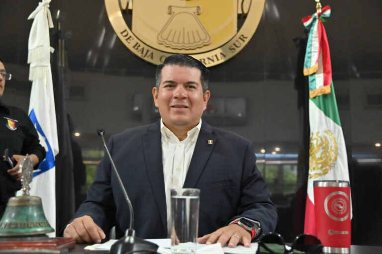 DIP FABRIZIO DEL CASTILLO PTE MESA DIRECTIVA